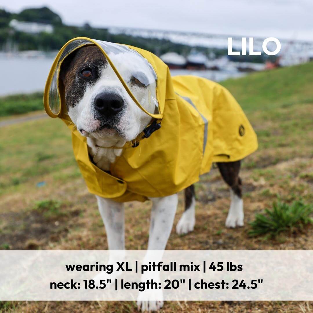 Gooby hot sale dog raincoat