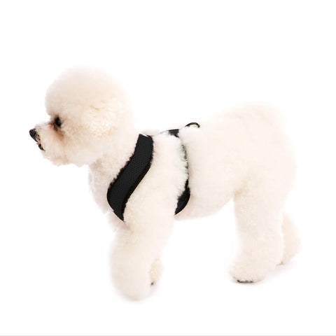 Comfort X Harness – Gooby