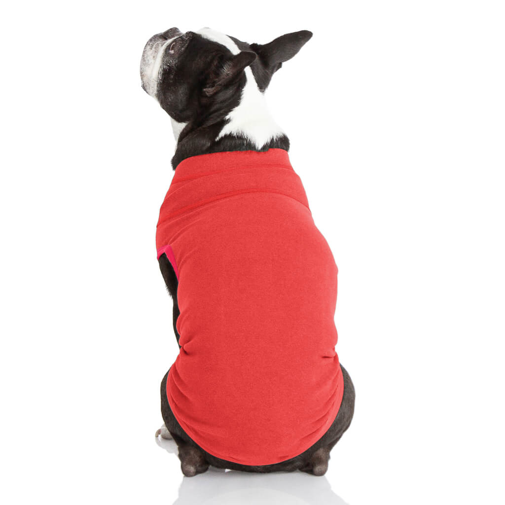 Warm Fleece Dog Cat Harness Leash Winter Dog Harness Soft French
