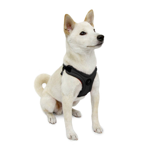 Escape Free® Sport Harness – Gooby